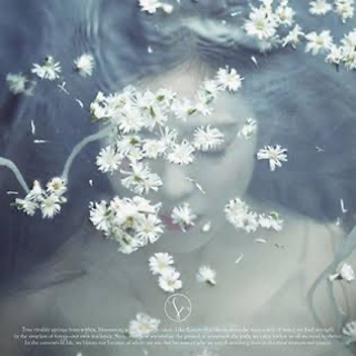 Like a Flower · Irene